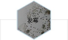 ���ַ�������������