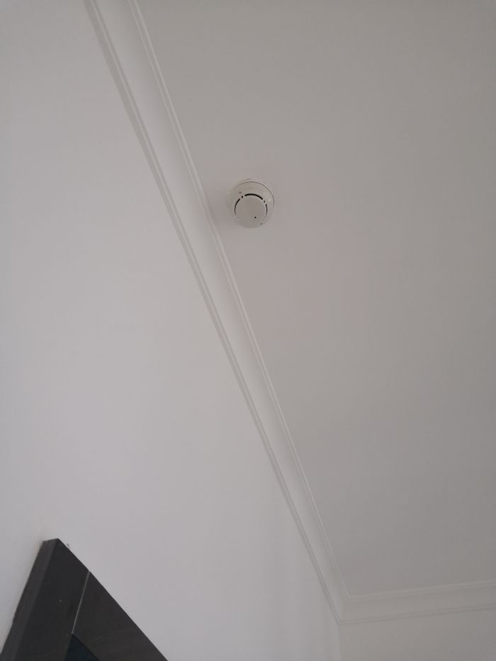 ���Ź�������