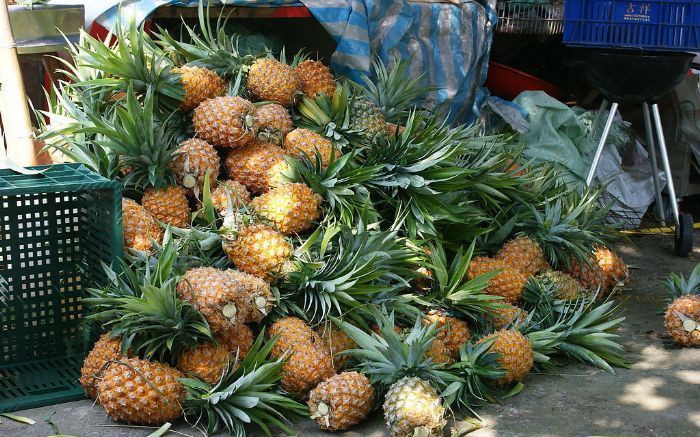 ���ڻ�����ס�ļ��ٷ���