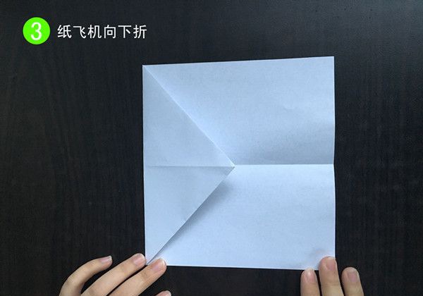 ��ֽ�ɻ�����3