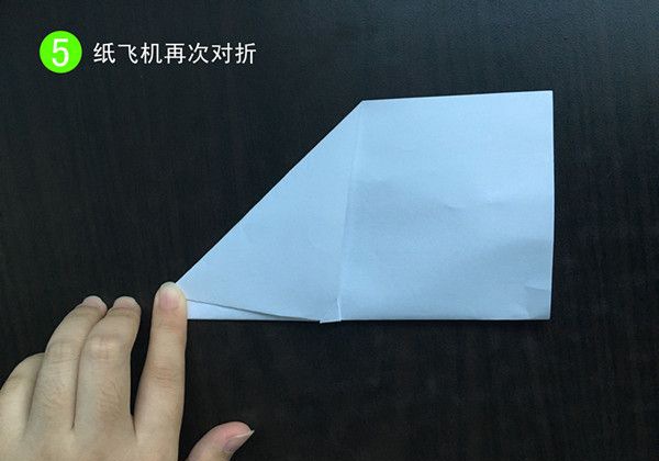 ��ֽ�ɻ�����5