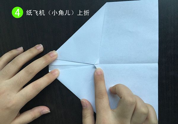 ��ֽ�ɻ�����4