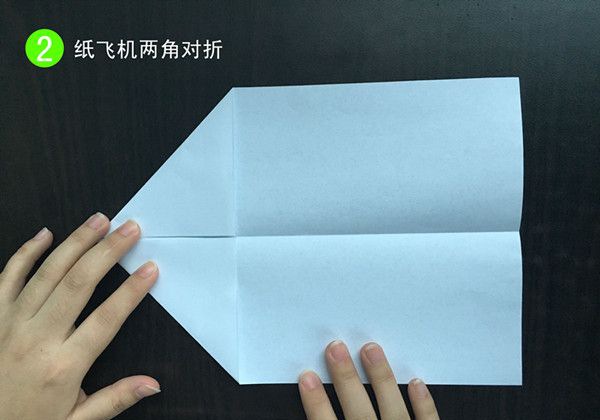 ��ֽ�ɻ�����2