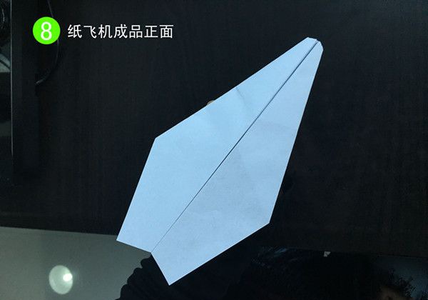 ��ֽ�ɻ�����8