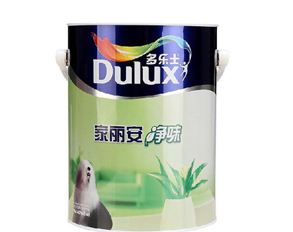 ����Ϳ��