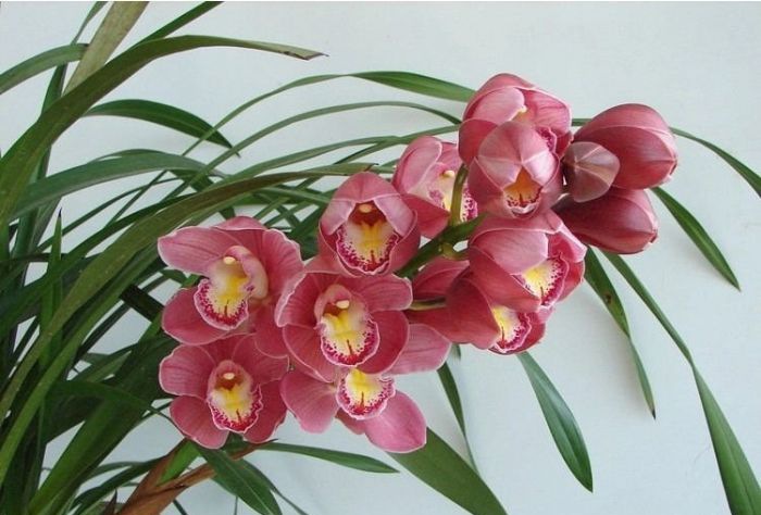 ��ͷ���ο�ͼƬ