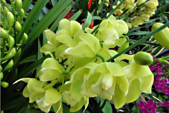 ��ͷ���ο�ͼƬ