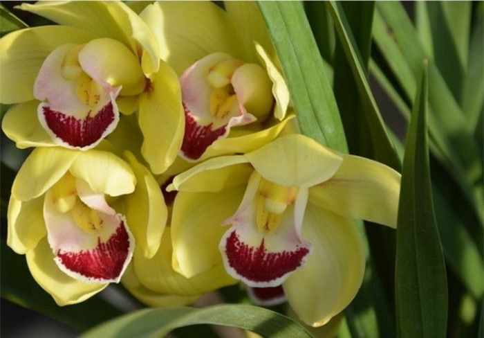 ��ͷ���ο�ͼƬ