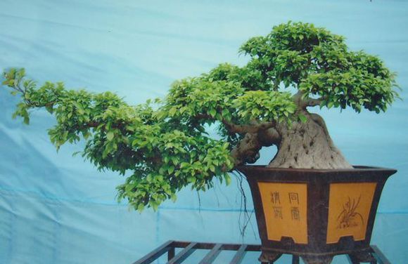 �����辰�辰����