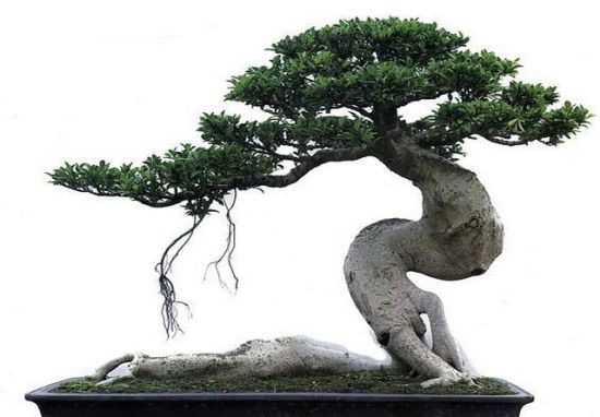 �����辰��Ʒ������Ӧ��