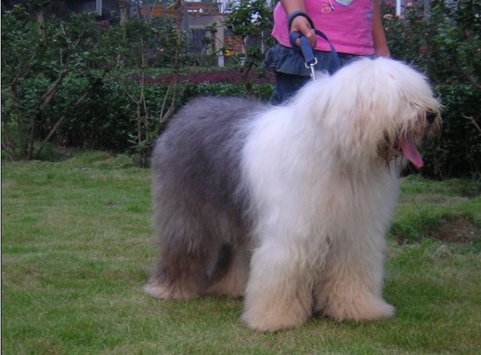 ����Ȯ���⻤��