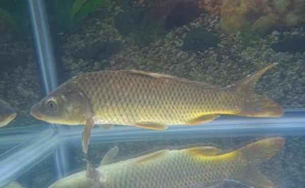 �״���������ѡ��