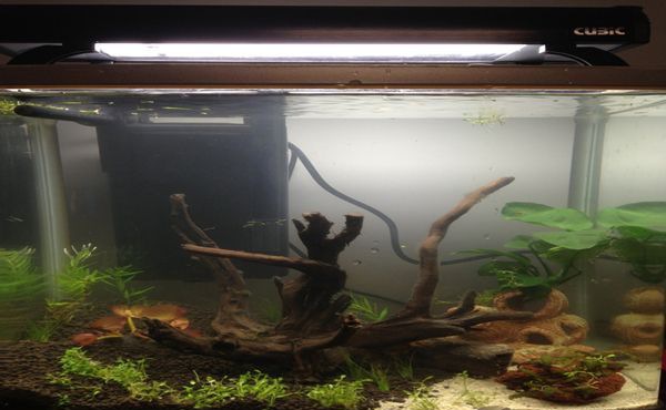 ������������