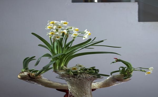 �칫���Ϸ���Щ���ʻ��ȽϺã�