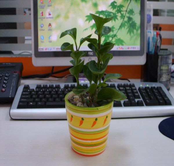 ֲ��������Ӱ��