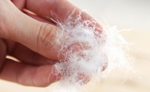 ���޷����ѡ��?