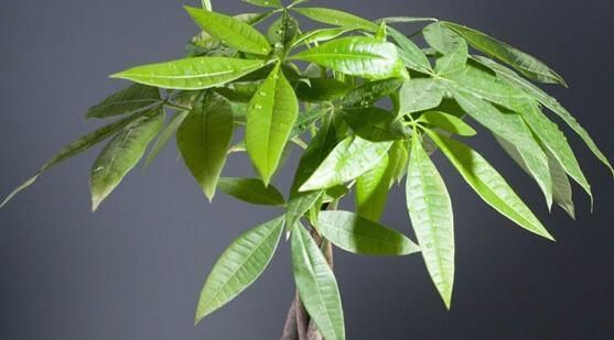 ҡǮ������̬ϰ��