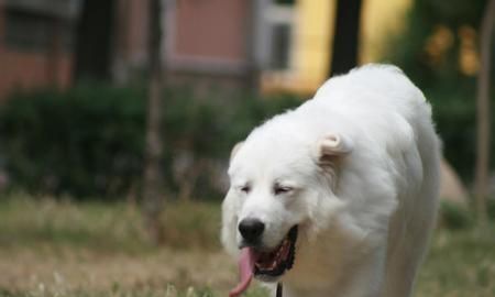 ����ܵĴ�С