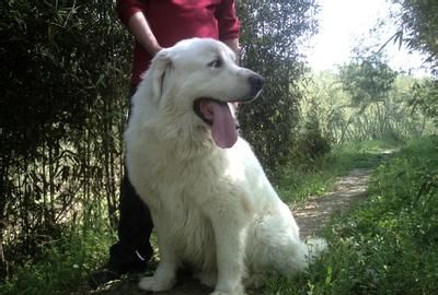 ����ܵ�����