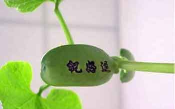 ħ�����¶ȵ�Ҫ��