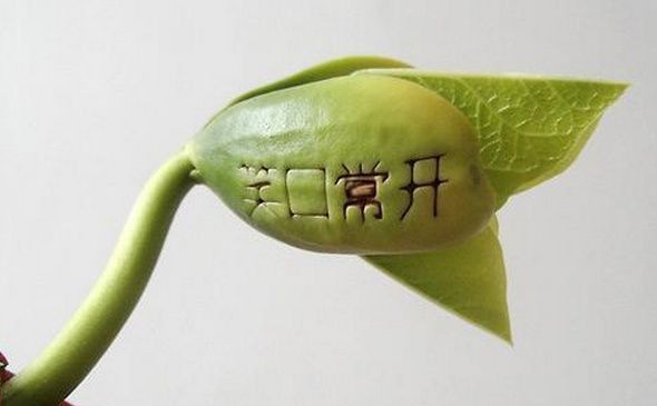 ħ����ˮ�ֵ�Ҫ��