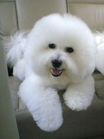 ����Ȯ��Ȯʳ��