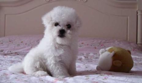 ����Ȯ�ر�֪ʶ