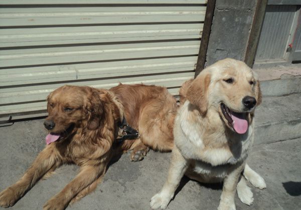 ��ëȮ��Ʒ��