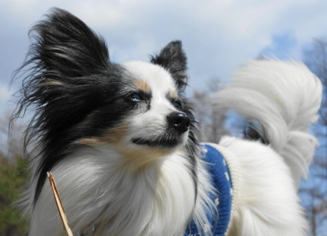 ����Ȯ������ϰ��