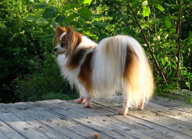 ����Ȯ���Ը�