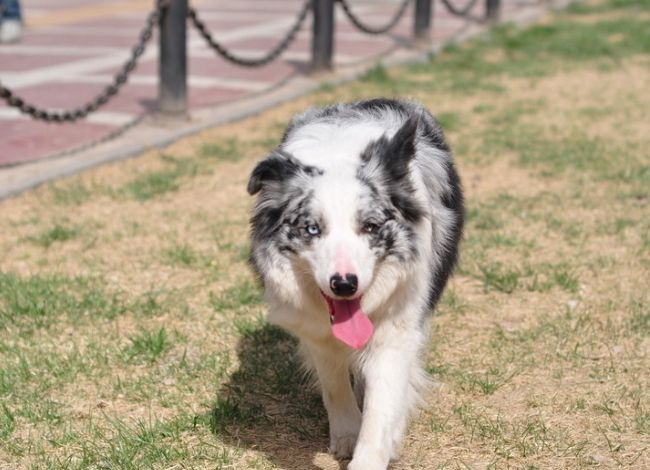 �߾�����Ȯ��̬����