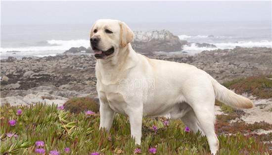 ���������˶��ƻ�