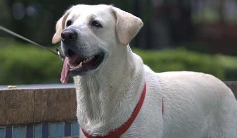 ��������ע������