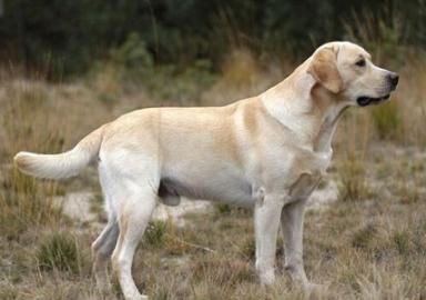 ��������ϴ�軤��