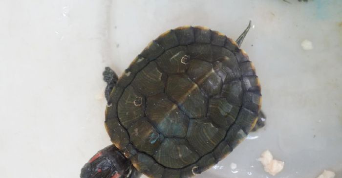 С�ڹ�ע������