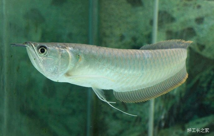 ��������������