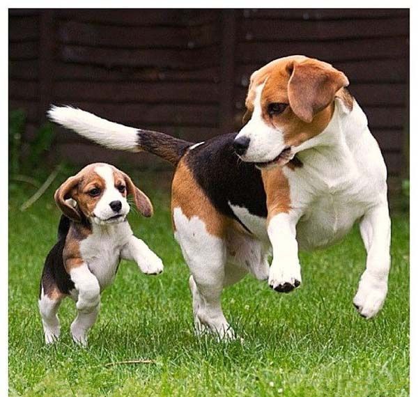 �ȸ�Ȯ��̬����