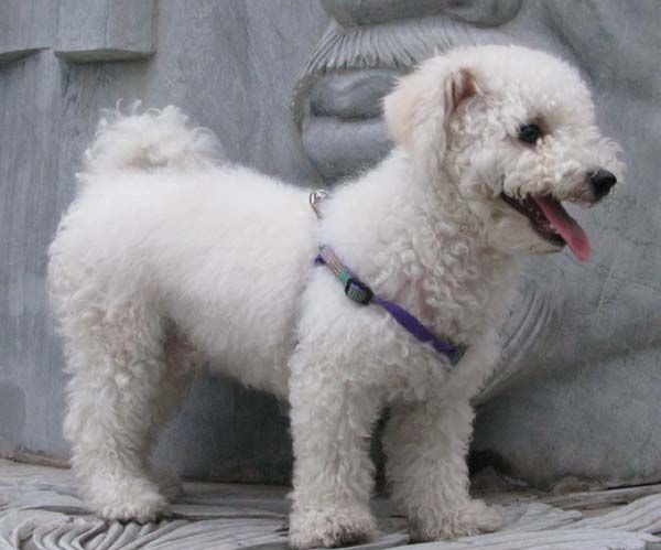 ����ȮƷ�ַ���