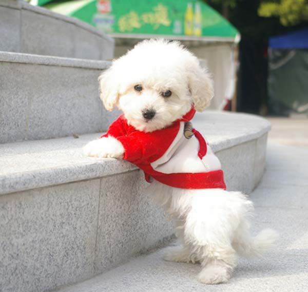 ����Ȯ�˹�����