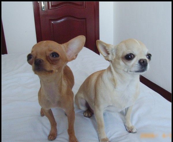 ������ע������