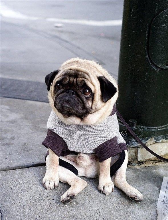 �͸�Ȯ��������