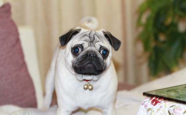 �͸�Ȯ����ϰ��