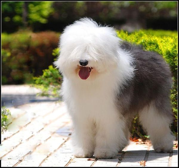 ������Ҫ�ص�