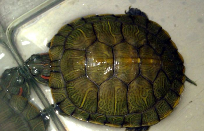 С�ڹ��ⲿ����