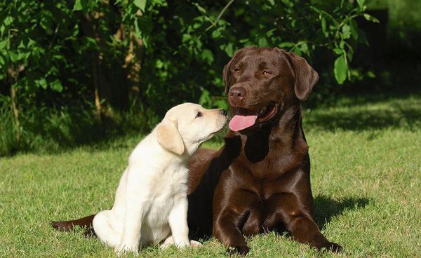 ����������̬����