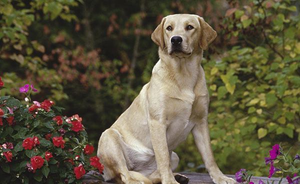 ������������ϰ��