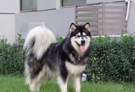 ����˹��Ȯע������