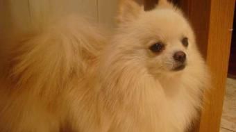 ����Ȯι��ע������