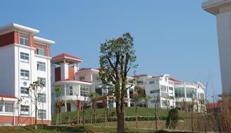 ��������ְҵ�����������