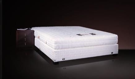 Ľ˼�����͸����